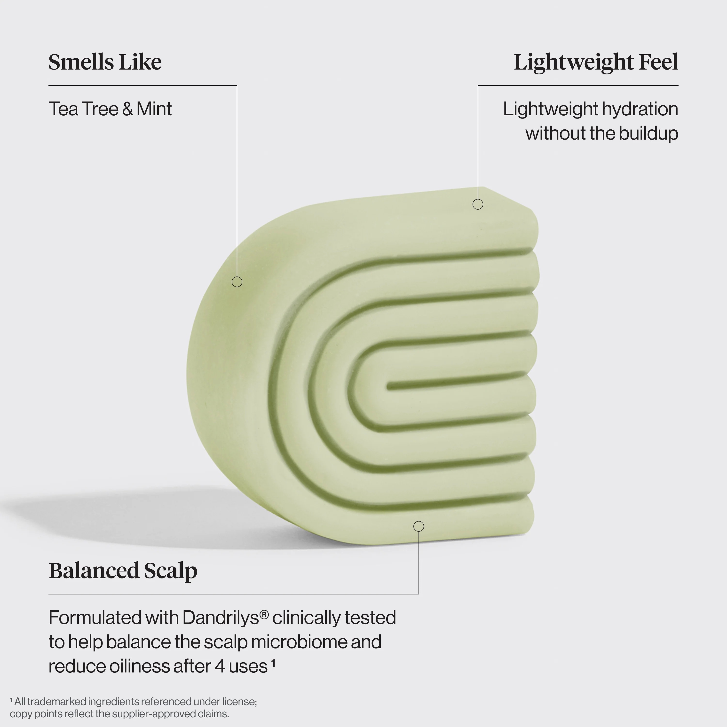 Tea Tree & Mint Clarifying Shampoo & Conditioner Bar Combo - Image 5