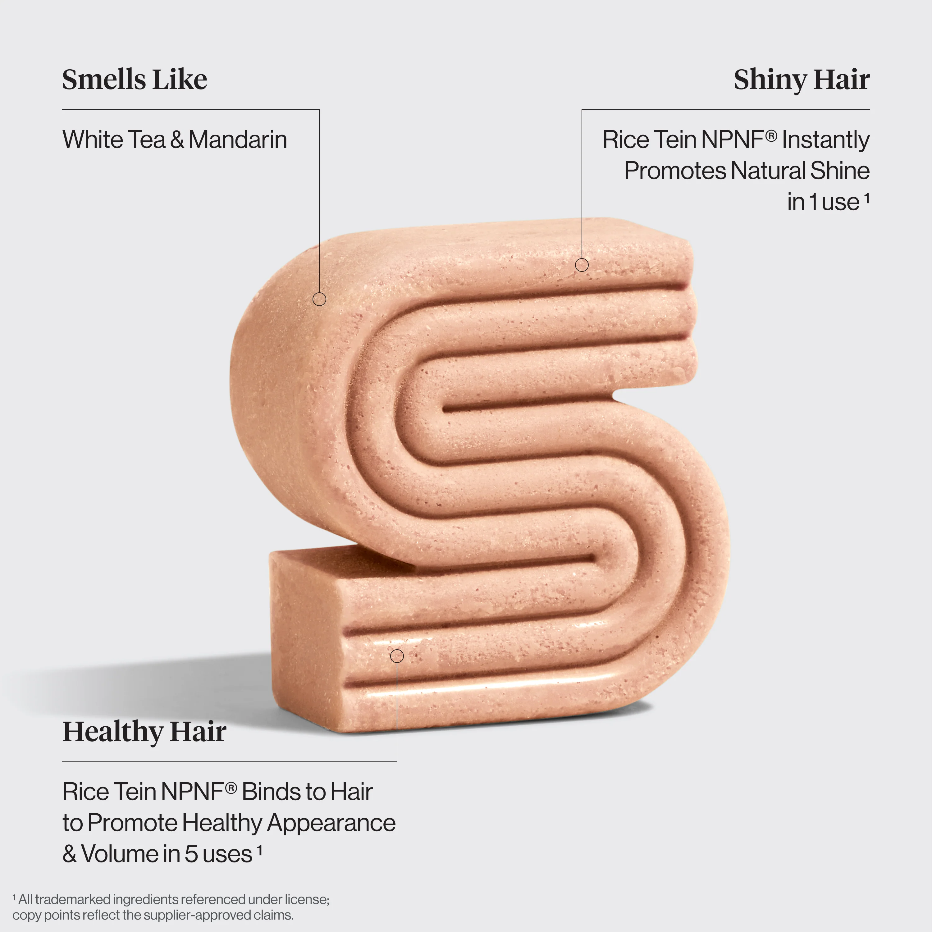 Winter Welcome Kit Rice Water Shampoo & Conditioner Bar Combo for Hair Growth - Image 3